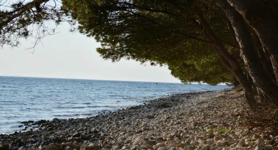 Apartman Ive 1 Kožino Exteriör bild